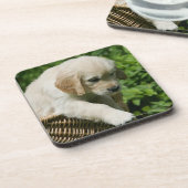 Golden retriever-Welpe im Korb Untersetzer (Linke Seite)