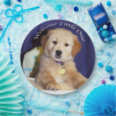 Golden retriever-Welpe im Pappteller (Party)