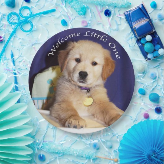 Golden retriever-Welpe im Pappteller (Party)