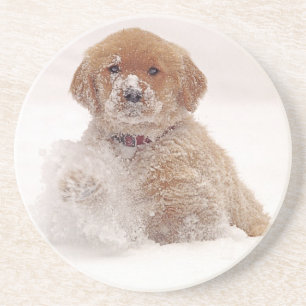 Golden Retriever-Welpe im Schnee Getränkeuntersetzer