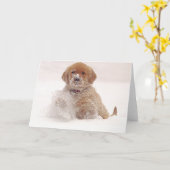 Golden retriever-Welpe im Schnee Karte (Gelbe Blume)