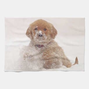 Golden Retriever Welpe im Schnee Küchentuch