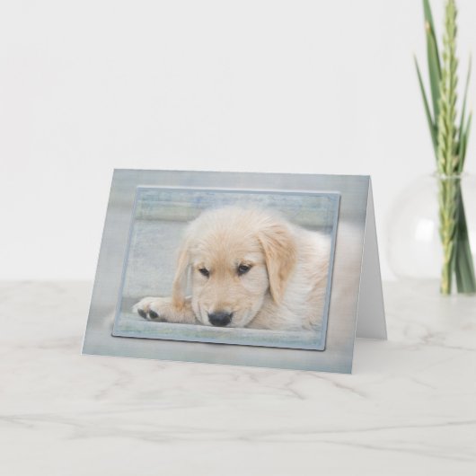 Golden Retriever Welpe in blau Karte (Vorderseite)