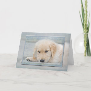 Golden Retriever-Welpe in blauem Rahmen Karte