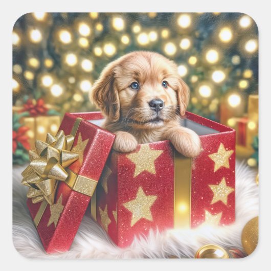 Golden Retriever Welpe in Christmas Box Quadratischer Aufkleber (Vorderseite)