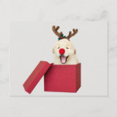 Golden Retriever Welpe in Roter Geschenkboxen Postkarte (Vorderseite)