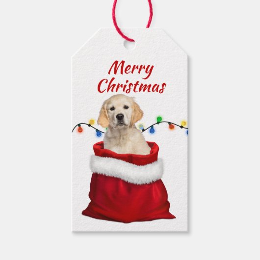 Golden Retriever Welpe in Santa Bag Geschenkanhänger (Vorderseite)