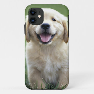 Golden retriever-Welpe iPhone Fall 11 Hülle