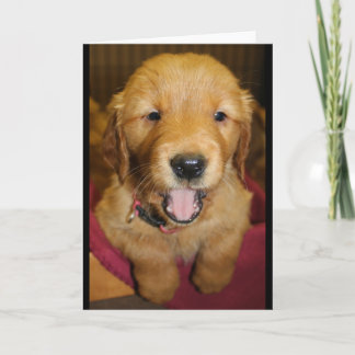 Golden retriever-Welpe irgendeine Gelegenheit Karte