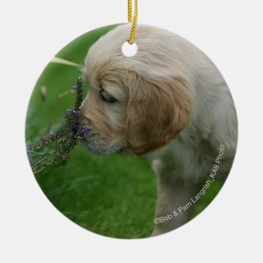 Golden retriever-Welpe Keramikornament (Vorne)