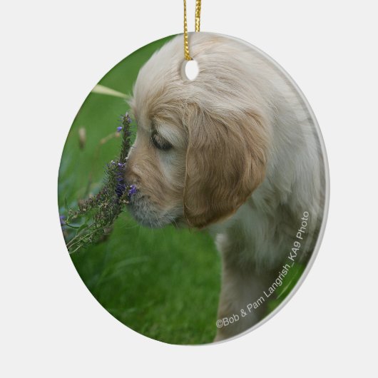 Golden retriever-Welpe Keramikornament (Links)