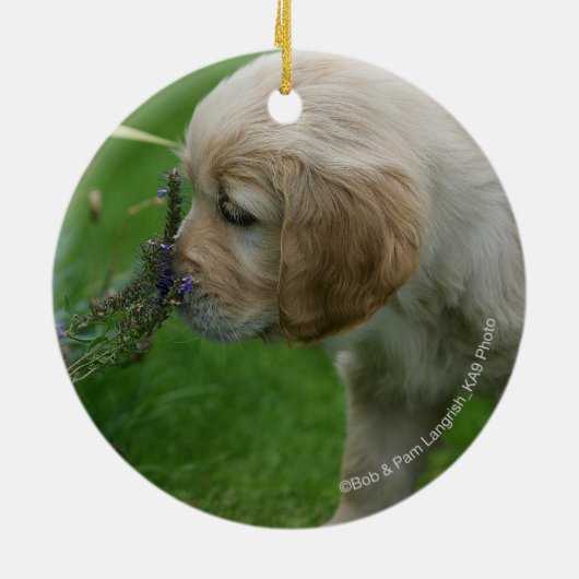 Golden retriever-Welpe Keramikornament (Hinten)