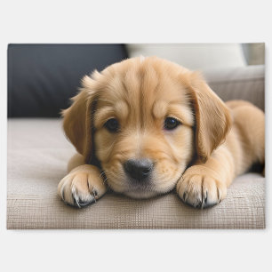 Golden Retriever Welpe Magnet