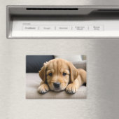 Golden Retriever Welpe Magnet (In Situ (Geschirrspüler))