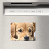 Golden Retriever Welpe Magnet (In Situ (Geschirrspüler))