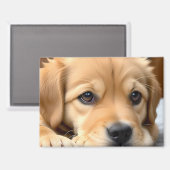 Golden Retriever Welpe Magnet (Vorderseite/Rückseite)