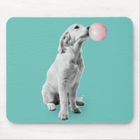 Golden Retriever Welpe mit Blase Gum