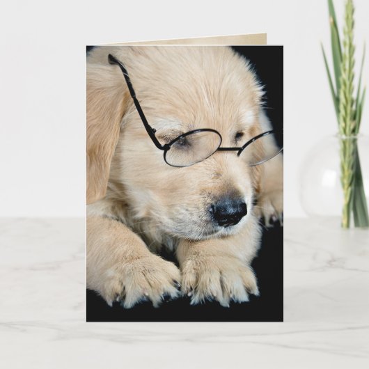 Golden Retriever Welpe mit Brille Karte (Vorderseite)