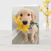 Golden Retriever Welpe mit Muttertag der Blume Karte (Gelbe Blume)