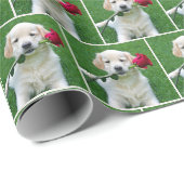 Golden Retriever Welpe mit Rote Rose Geschenkpapier (Rolleneckpunkt)