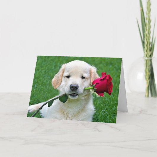 Golden Retriever Welpe mit Rote Rose Karte (Vorderseite)