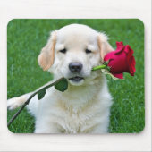 Golden Retriever Welpe mit Rote Rose Mousepad (Vorne)