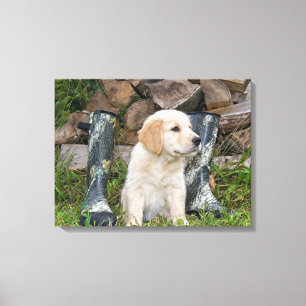 Golden Retriever Welpe mit Stiefeln Leinwanddruck