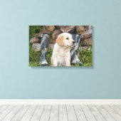 Golden Retriever Welpe mit Stiefeln Leinwanddruck (Insitu (Holzboden))