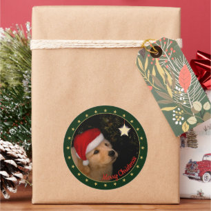 Golden Retriever Welpe mit Weihnachtsmannmütze Sti Runder Aufkleber