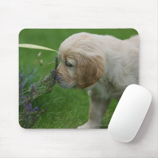 Golden retriever-Welpe Mousepad (Mit Mouse)