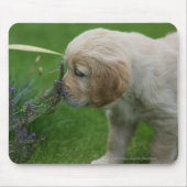 Golden retriever-Welpe Mousepad (Vorne)