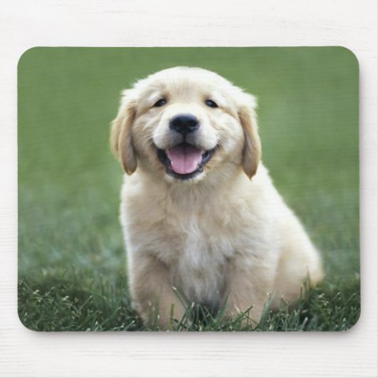 Golden retriever-Welpe Mousepad (Vorne)
