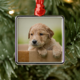 Golden Retriever Welpe Ornament Aus Metall