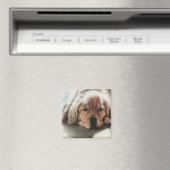 Golden Retriever Welpe schlafend in der Sonne Magnet (In Situ (Geschirrspüler))