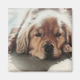 Golden Retriever Welpe schlafend in der Sonne Magnet