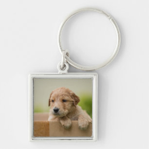 Golden Retriever Welpe Schlüsselanhänger