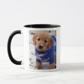 Golden retriever-Welpe Tasse (Links)
