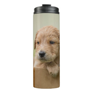 Golden Retriever Welpe Thermosbecher