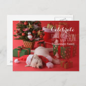 Golden Retriever Welpe und Weihnachten (Vorne/Hinten)