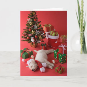 Golden retriever-Welpe und Weihnachten