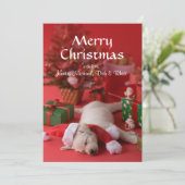 Golden retriever-Welpe und Weihnachten 2 (Stehend Vorderseite)