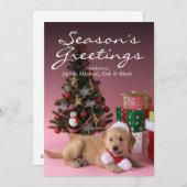 Golden retriever-Welpe und Weihnachten 3 (Vorne/Hinten)