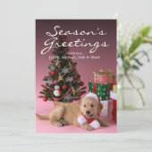 Golden retriever-Welpe und Weihnachten 3 (Stehend Vorderseite)