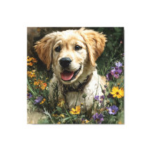 Golden Retriever Welpe Wildblumenwiese Freude