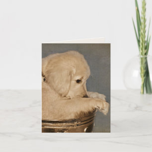 Golden-Retriever-Welpen-Blanko-Notizkarte Karte