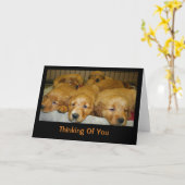 Golden Retriever Welpen denken an Sie Karte (Gelbe Blume)