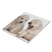 Golden retriever-Welpen Fliese (Seite)