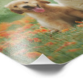 Golden Retriever Welpen Fotodruck (Ecke)