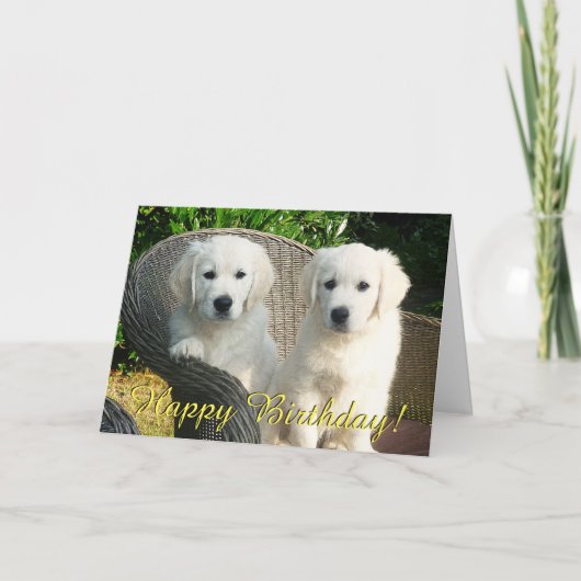 Golden Retriever Welpen Geburtstagskarte Karte (Vorderseite)