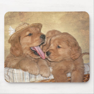 Golden Retriever Welpen im Korb Mousepad